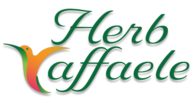 Dr-Herb-A-Raffaele-logo-325