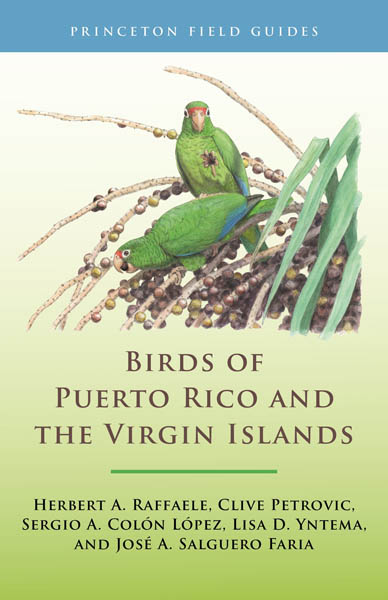 Birds Of Puerto Rico and Virgin Islands Raffaele cover