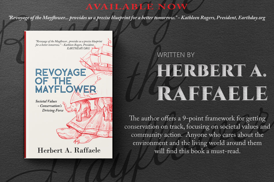 Revoyage-of-the-Mayflower-book-Raffaele-available-now