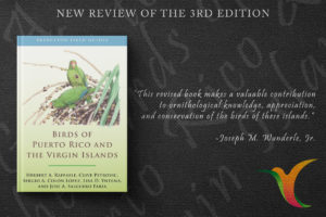 Book Review – Birds of Puerto Rico and the Virgin Islands