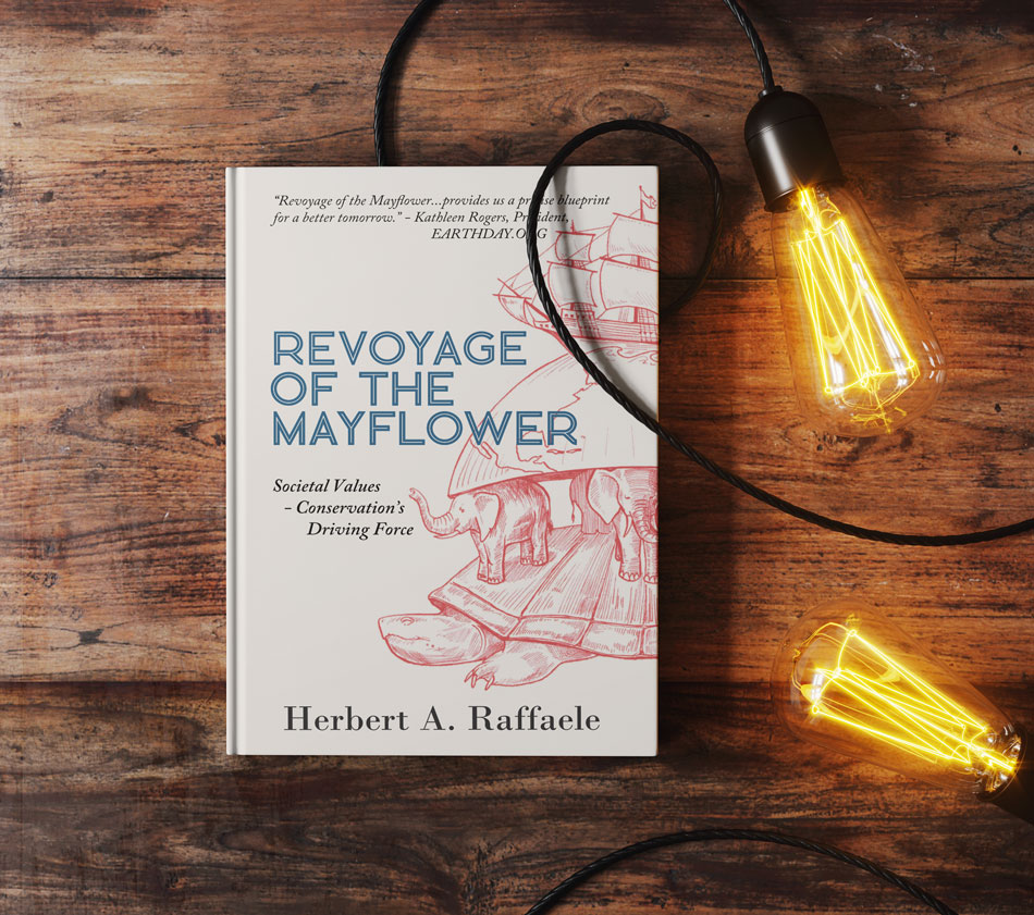 Revoyage-of-the-Mayflower-Raffaele-lights