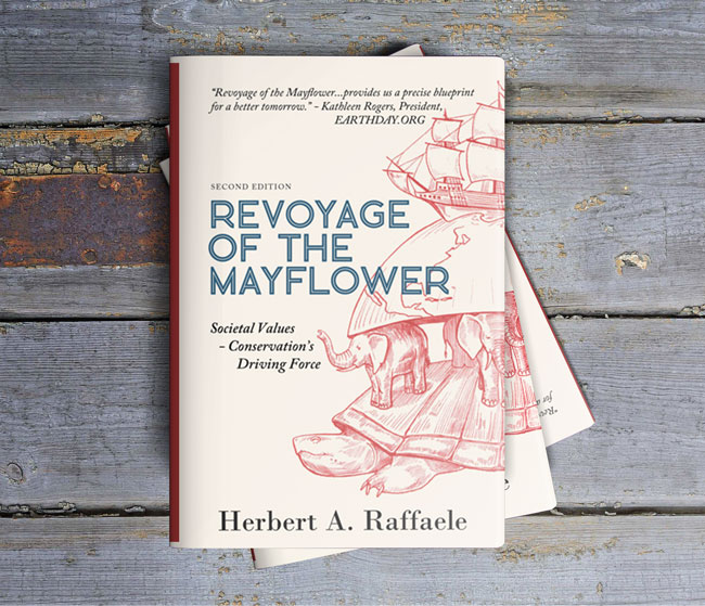 Revoyage-of-the-Mayflower-Raffaele-wood-2nd